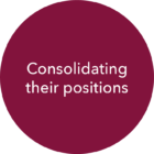 Consolidanting Norzpat Consolidanting Norzpat